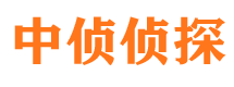 桃江外遇出轨调查取证